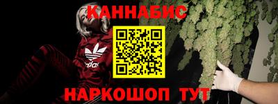 прущие грибы Краснодар