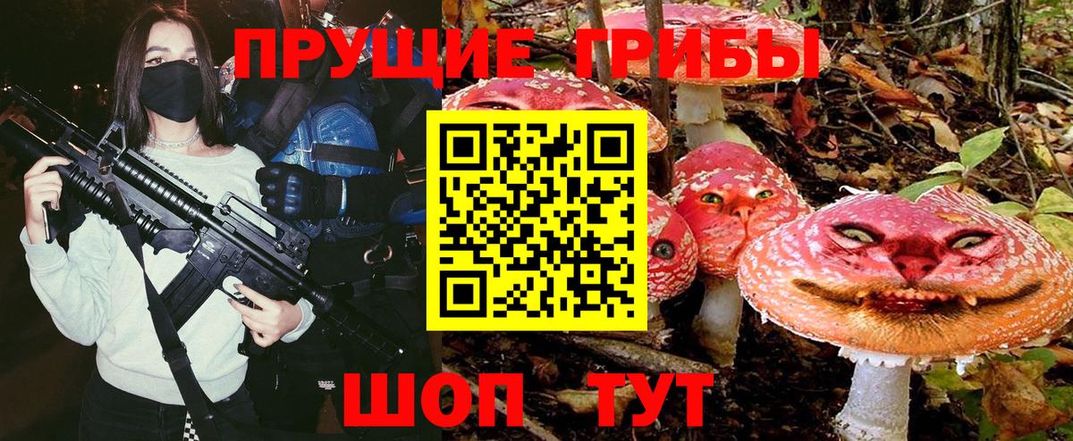 Псилоцибиновые грибы Psilocybe Тулун