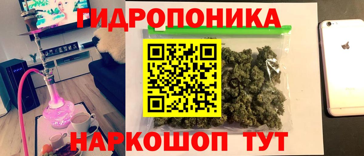 Тулун  Каннабис планчик  Вход с VPN  Конопля сатива  Бошки марихуана VHQ 